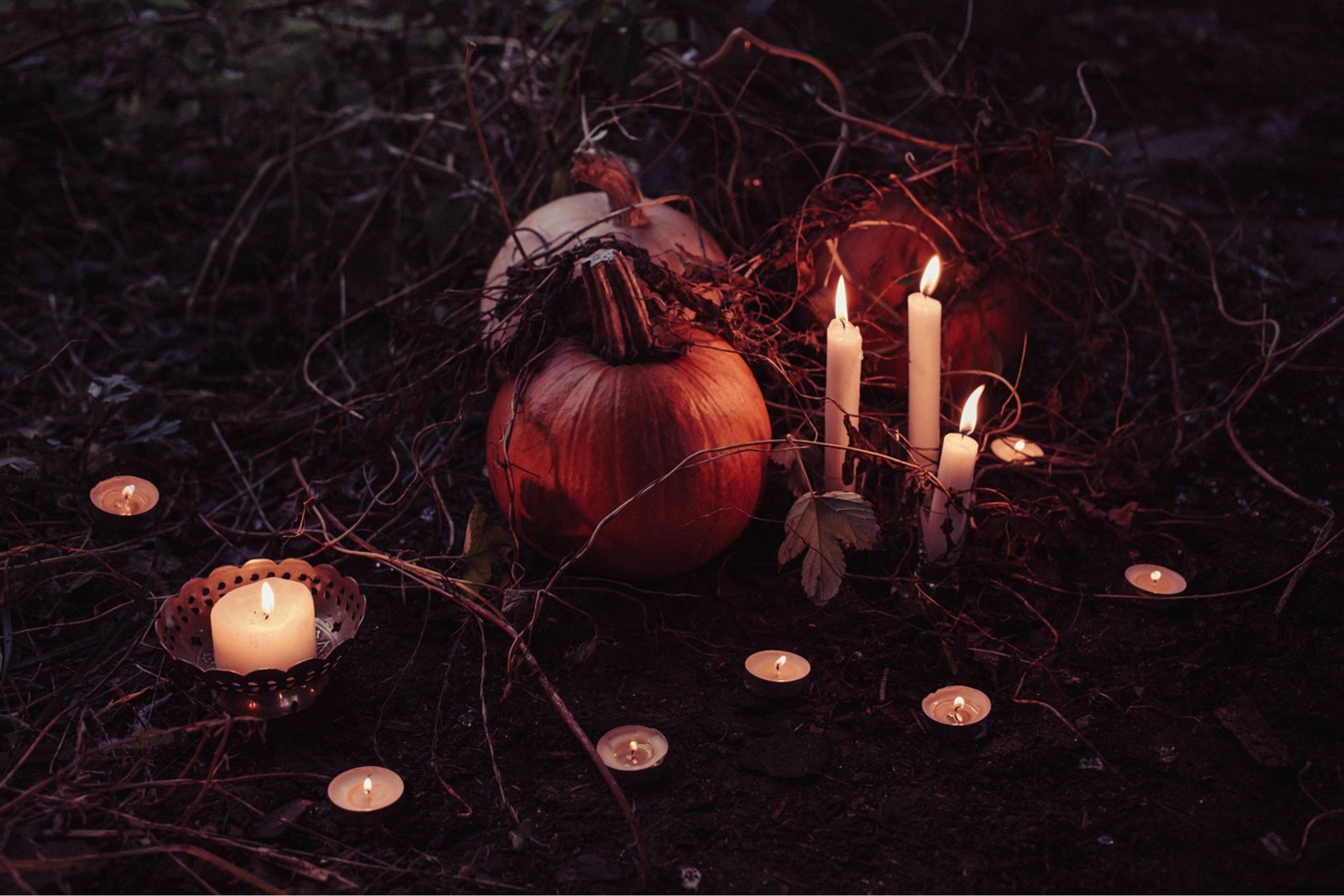 Rimini express Halloween Edition